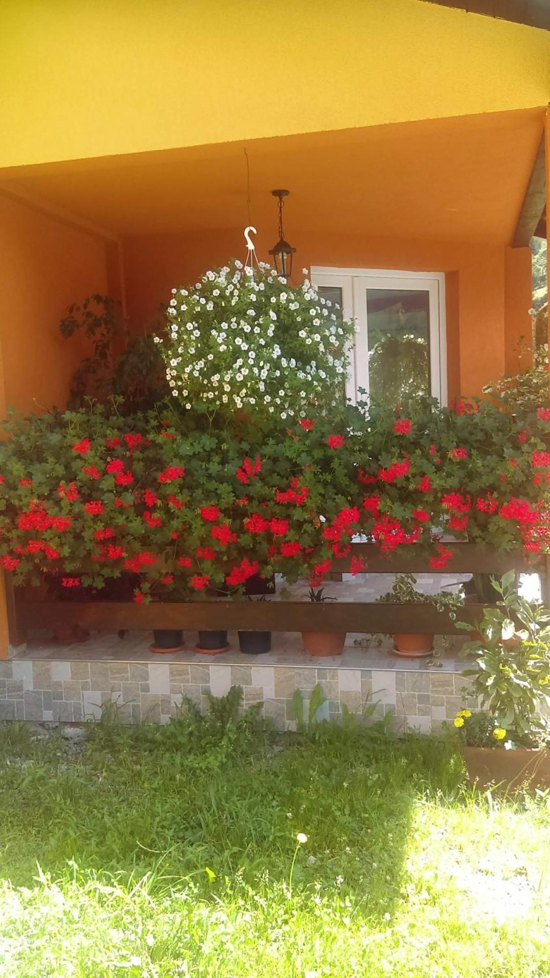 Ge-Lux Villa Incesti Exterior photo