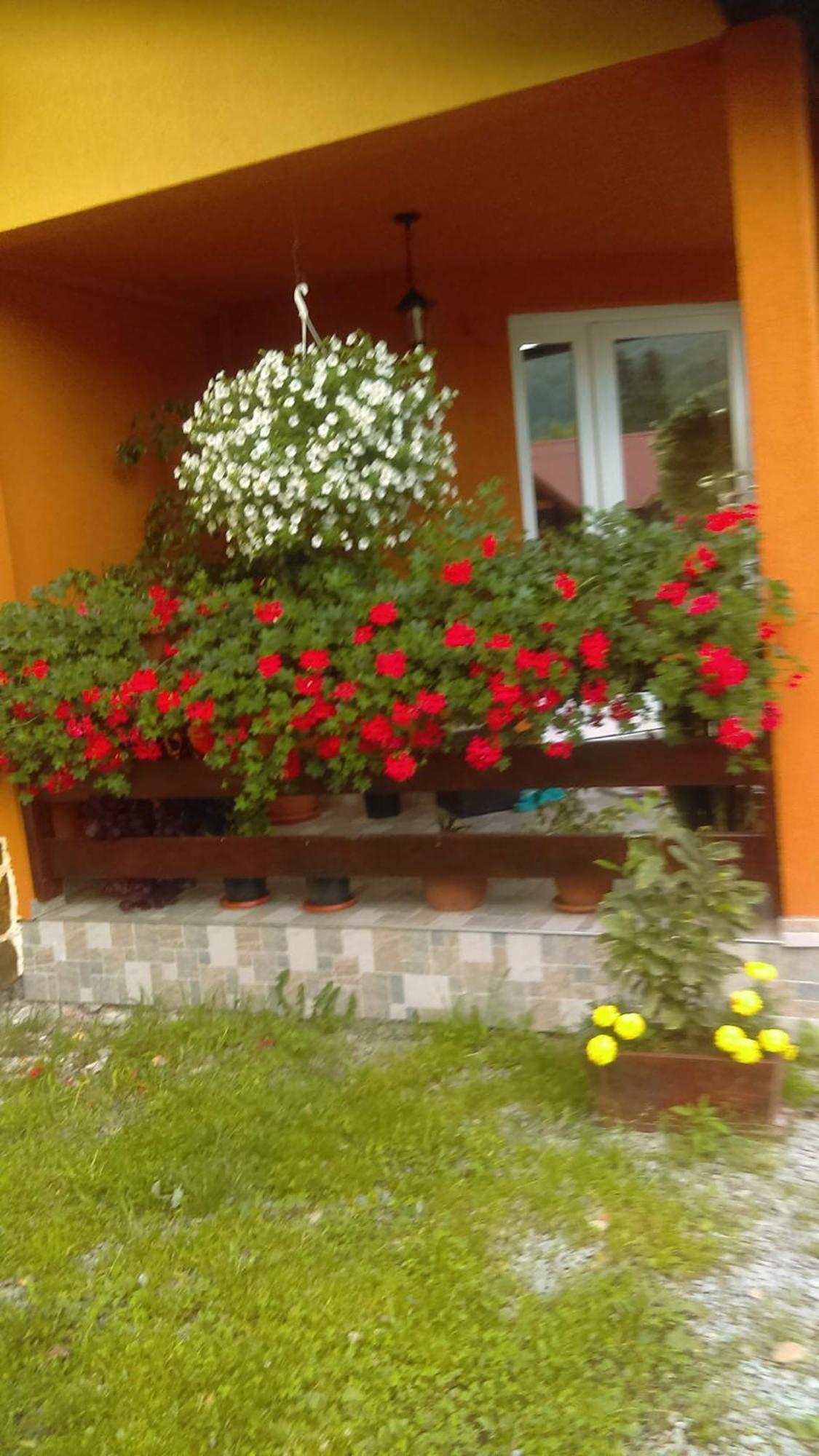 Ge-Lux Villa Incesti Exterior photo