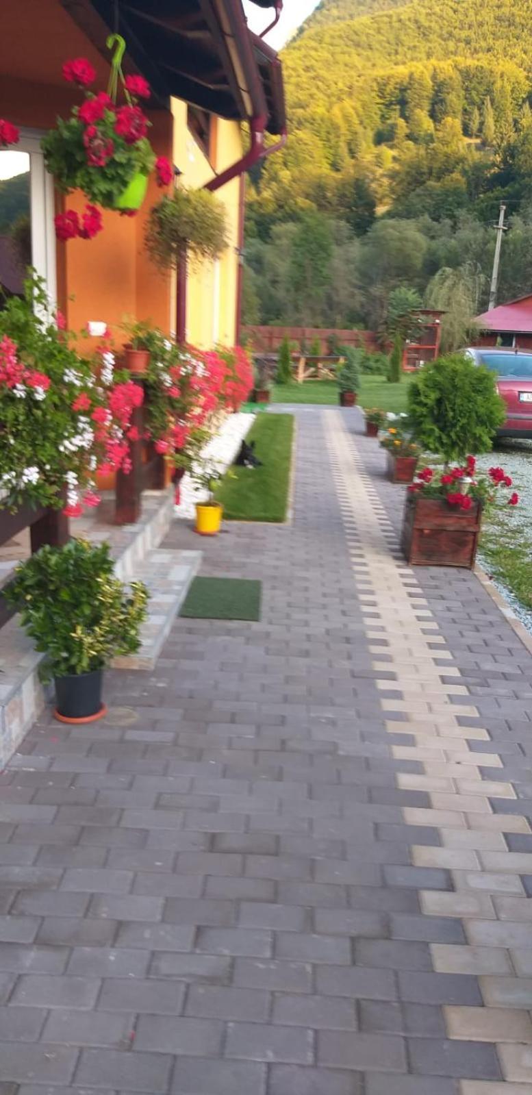 Ge-Lux Villa Incesti Exterior photo